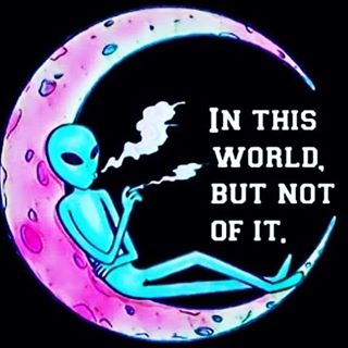 Mihai Nascu's avatar