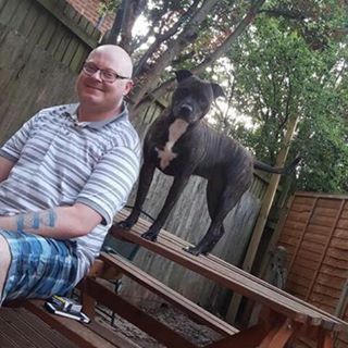 Steven Orton's avatar