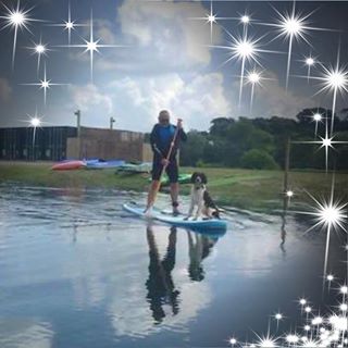 Douglas J Gillies's avatar