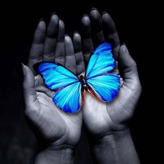 Charlotte Guest's avatar