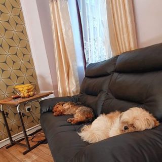 Paul Whitehead's avatar