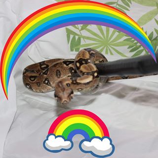 Barrie Mullen's avatar