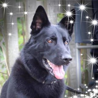 Steven Bacon's avatar