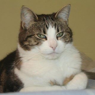 Andrew Smallbranch's avatar