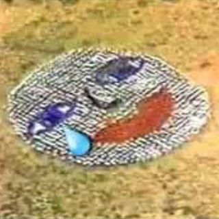 Blake McAdam's avatar