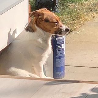 Jenette Dockerill's avatar