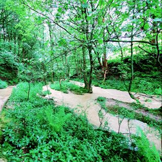 James Hughes's avatar