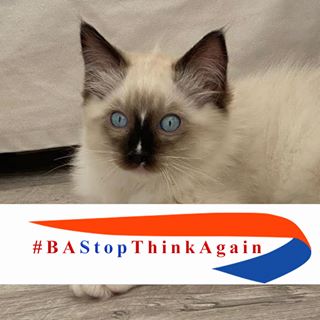 Nicola Van Der Woude's avatar