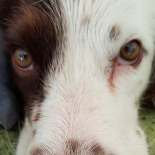 Pam Richardson's avatar