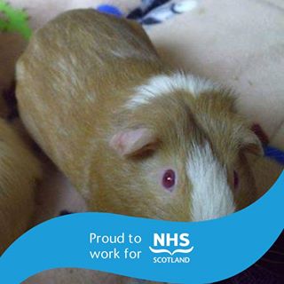 Pamela Moir McPhail's avatar