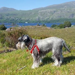 Fergie Conway's avatar