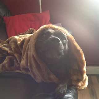 Arthur Swinscoe's avatar