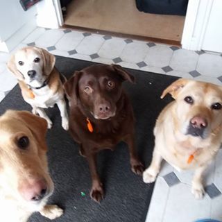 Dale Mcleod's avatar