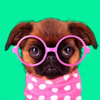 Ola Oladele's avatar