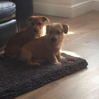 Janice Leighton's avatar