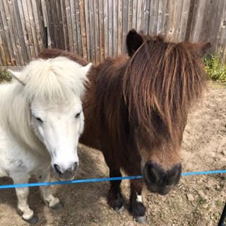 Carolyn Stevenson's avatar