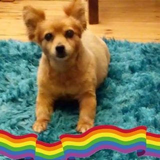 Michele Malone's avatar