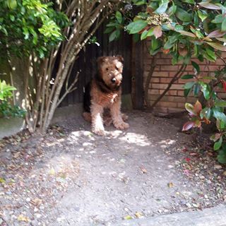 Tracey Townsend's avatar