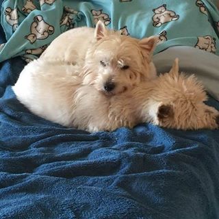 Gail Wright's avatar