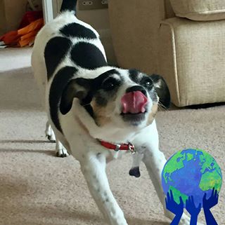 Bob Duxbury's avatar