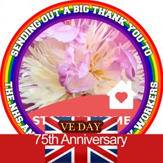 Sandra Bryant's avatar