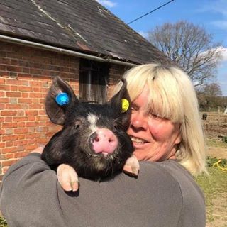 Zoe Allcorn's avatar