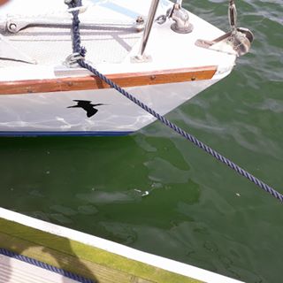 Nick Appleby's avatar