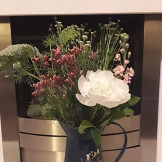 Pam Johnson's avatar