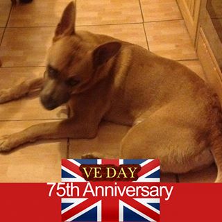 Shaun Dicken's avatar