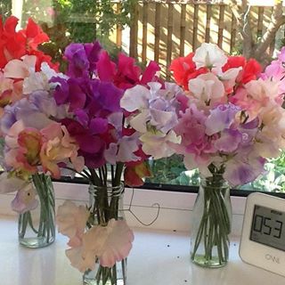 Robert Wheatley's avatar