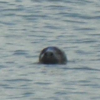 Chris Endersby's avatar