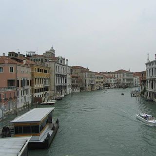 Rosalind Nichols's avatar