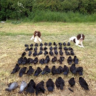 Mick Leeson's avatar