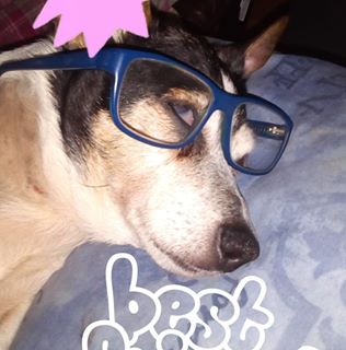 Jill Heeley's avatar