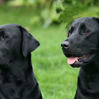 Jane Thomas's avatar