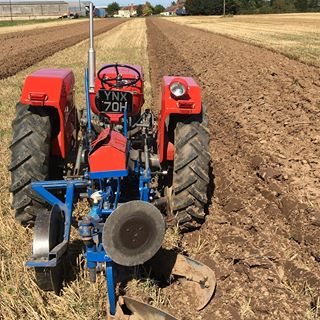 Roy Cuthbertson's avatar