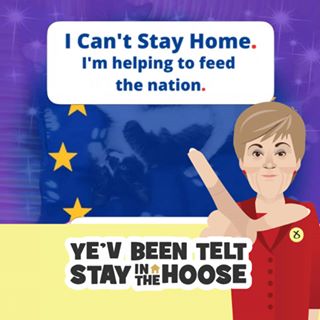 Kathleen Napier-Band's avatar