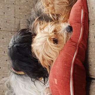 Beverley Newell's avatar