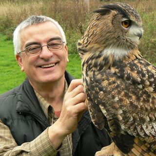 Domenico Vaughan's avatar