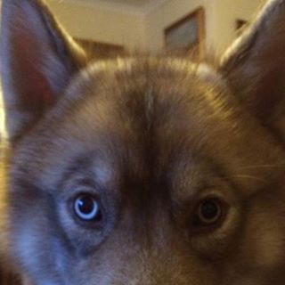 Vicky Manning's avatar