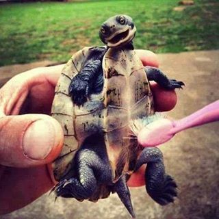 Kieran Lole's avatar