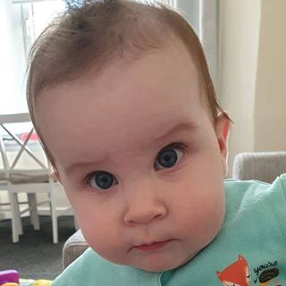 Brian O'Donnell's avatar