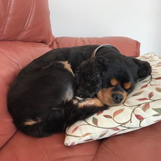 Peter Robinson's avatar