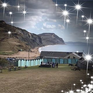 Tracey Duke's avatar