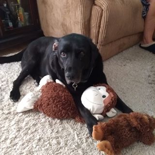 Nigel Wharton's avatar