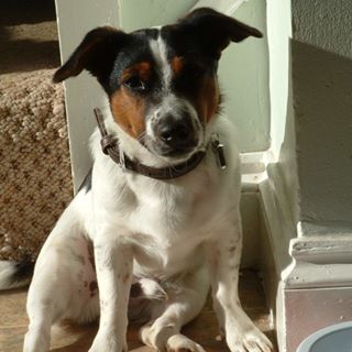 Clive Ralph's avatar