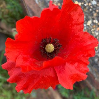 Jane Sygrove's avatar