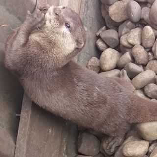 Wendy Waudby's avatar