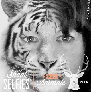 Tracy Kennady's avatar