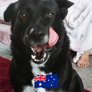 Robert Beaumont's avatar